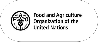 food-and-agriculture-organization-of-the-united-nations