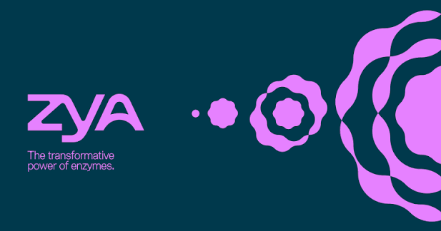 Zya